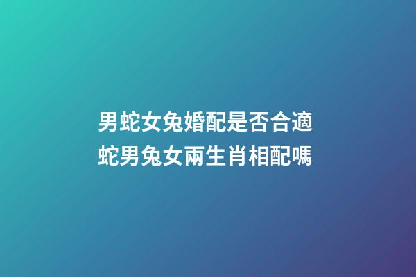 男蛇女兔婚配是否合適 蛇男兔女兩生肖相配嗎